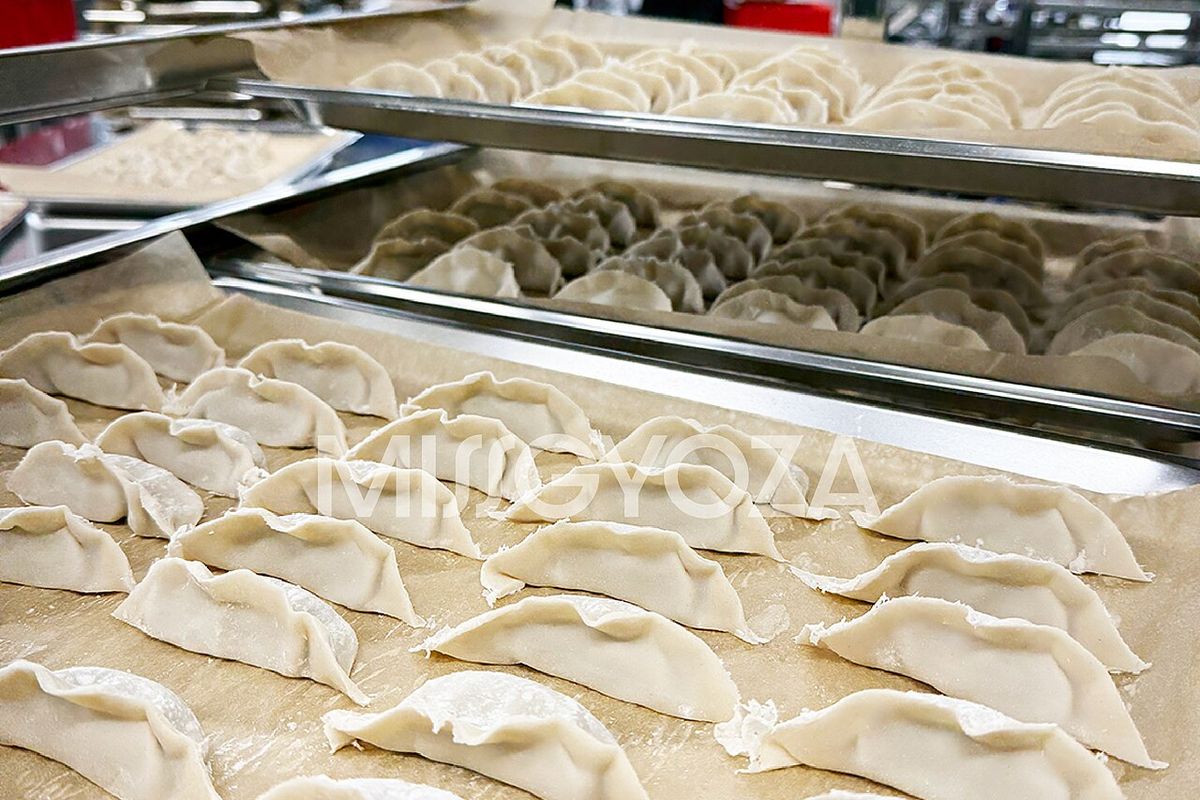 Gyozas de cerdo terminado, listo para servir